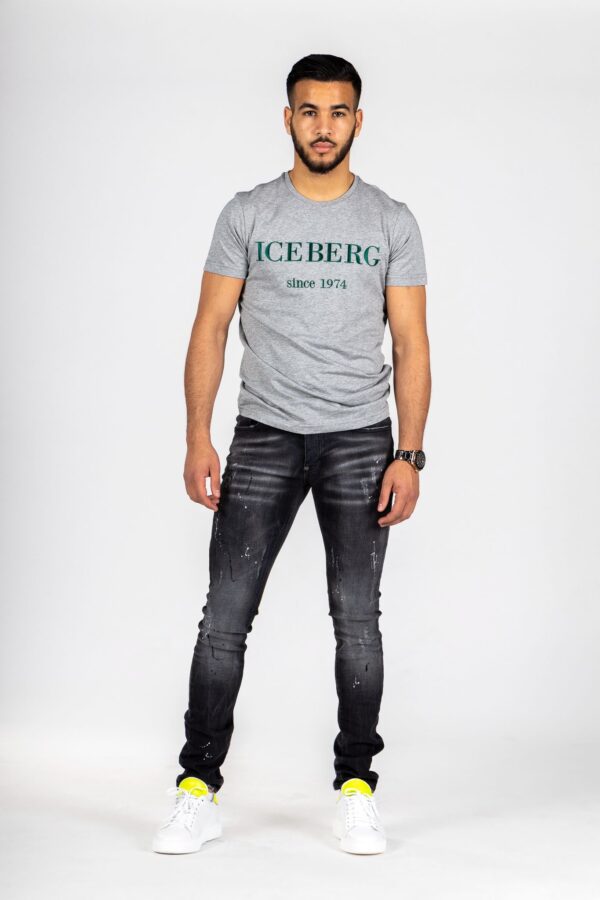 X26 - Faded Grey Skinny Jeans